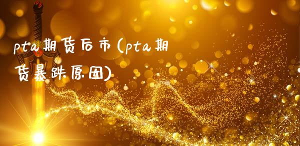 pta期货后市(pta期货暴跌原因)_https://www.liuyiidc.com_基金理财_第1张