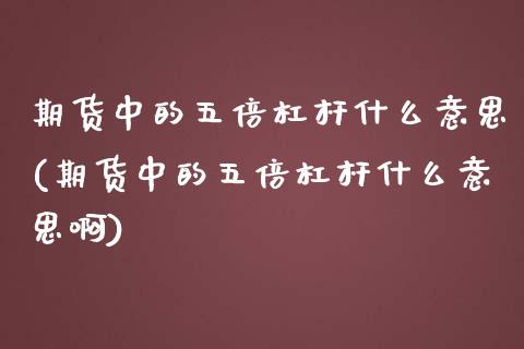 期货中的五倍杠杆什么意思(期货中的五倍杠杆什么意思啊)_https://www.liuyiidc.com_期货品种_第1张