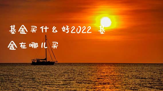 基金买什么好2022 基金在哪儿买