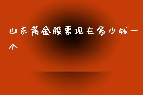 山东黄金股票现在多少钱一个_https://www.liuyiidc.com_期货软件_第1张