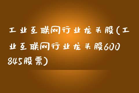 工业互联网行业龙头股(工业互联网行业龙头股600845股票)_https://www.liuyiidc.com_国际期货_第1张