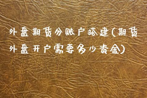 外盘期货分账户搭建(期货外盘开户需要多少资金)_https://www.liuyiidc.com_理财百科_第1张