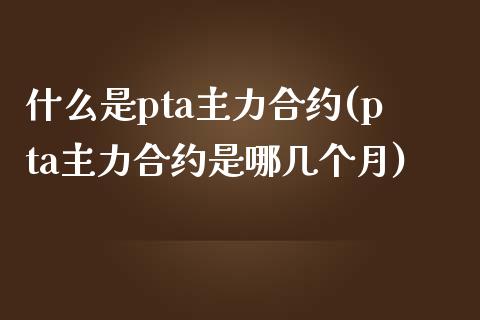 什么是pta主力合约(pta主力合约是哪几个月)_https://www.liuyiidc.com_期货品种_第1张