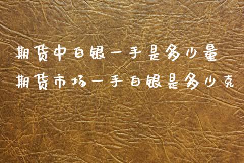 期货中白银一手是多少量 期货市场一手白银是多少克_https://www.liuyiidc.com_黄金期货_第1张