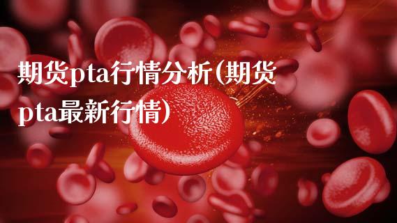 期货pta行情分析(期货pta最新行情)_https://www.liuyiidc.com_国际期货_第1张