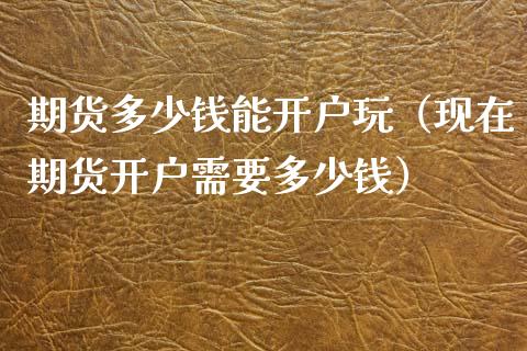 期货多少钱能玩（现在期货需要多少钱）_https://www.liuyiidc.com_期货理财_第1张