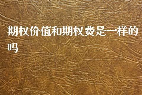 期权价值和期权费是一样的吗_https://www.liuyiidc.com_基金理财_第1张