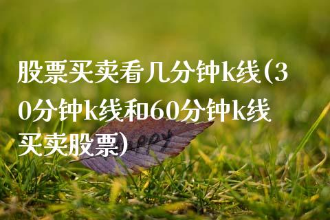 股票买卖看几分钟k线(30分钟k线和60分钟k线买卖股票)_https://www.liuyiidc.com_期货理财_第1张