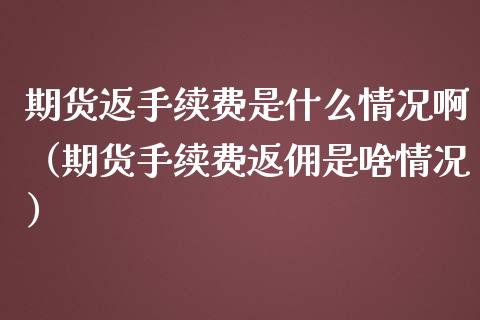 期货返手续费是什么情况啊（期货手续费返佣是啥情况）_https://www.liuyiidc.com_恒生指数_第1张