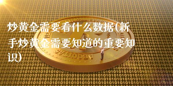 炒黄金需要看什么数据(新手炒黄金需要知道的重要知识)_https://www.liuyiidc.com_恒生指数_第1张