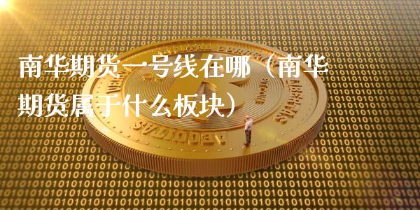 南华期货一号线在哪（南华期货属于什么板块）_https://www.liuyiidc.com_原油直播室_第1张