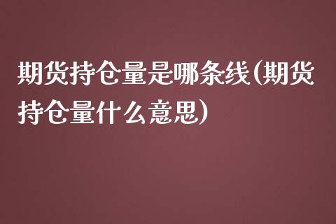 期货持仓量是哪条线(期货持仓量什么意思)_https://www.liuyiidc.com_理财品种_第1张