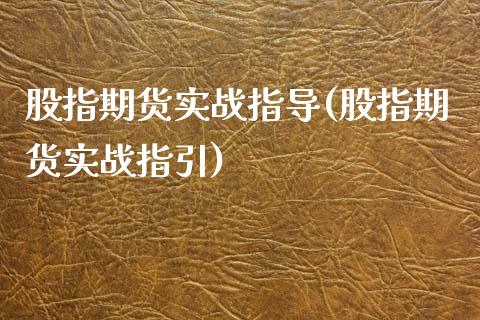 股指期货实战指导(股指期货实战指引)_https://www.liuyiidc.com_期货交易所_第1张