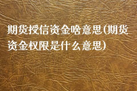 期货授信资金啥意思(期货资金权限是什么意思)_https://www.liuyiidc.com_期货直播_第1张