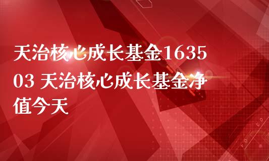 天治核心成长基金163503 天治核心成长基金净值今天