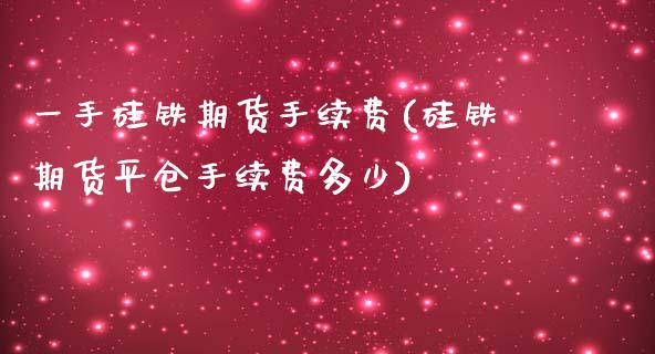 一手硅铁期货手续费(硅铁期货平仓手续费多少)_https://www.liuyiidc.com_期货直播_第1张