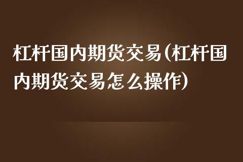 杠杆国内期货交易(杠杆国内期货交易怎么操作)_https://www.liuyiidc.com_期货交易所_第1张