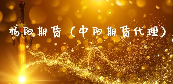 杨阳期货（中阳期货）_https://www.liuyiidc.com_期货理财_第1张