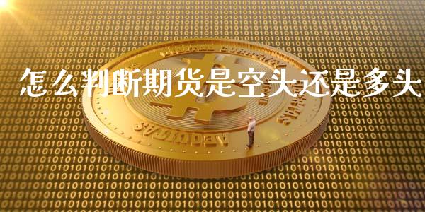 怎么判断期货是空头还是多头_https://www.liuyiidc.com_期货软件_第1张