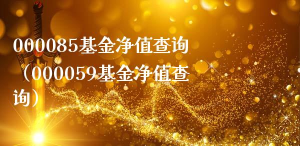 000085基金净值查询（000059基金净值查询）_https://www.liuyiidc.com_基金理财_第1张