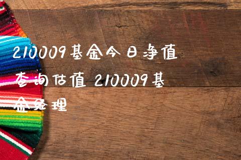 210009基金今日净值查询估值 210009基金