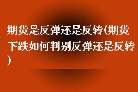 期货是反弹还是反转(期货下跌如何判别反弹还是反转)_https://www.liuyiidc.com_期货品种_第1张