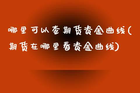 哪里可以查期货资金曲线(期货在哪里看资金曲线)_https://www.liuyiidc.com_期货交易所_第1张