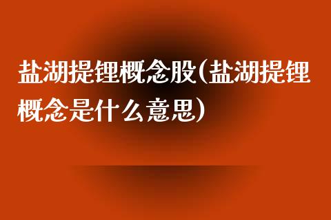 盐湖提锂概念股(盐湖提锂概念是什么意思)_https://www.liuyiidc.com_股票理财_第1张