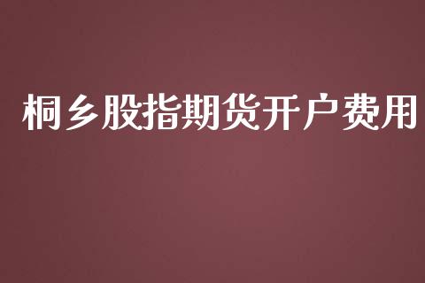 桐乡股指期货费用_https://www.liuyiidc.com_原油直播室_第1张