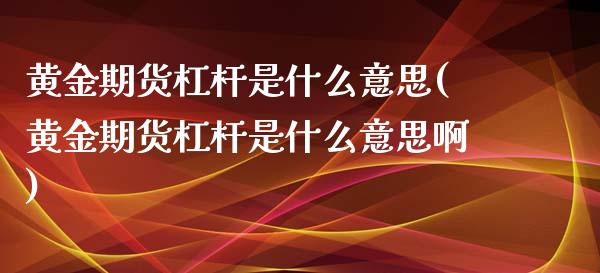 黄金期货杠杆是什么意思(黄金期货杠杆是什么意思啊)_https://www.liuyiidc.com_基金理财_第1张