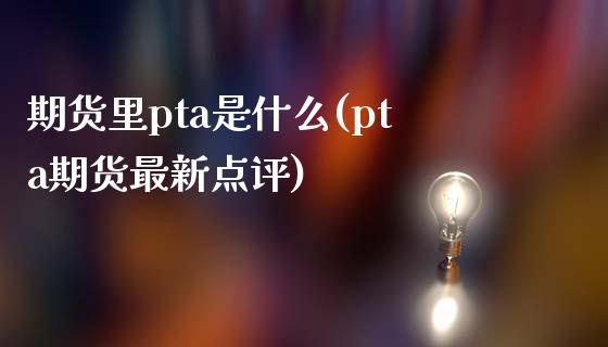 期货里pta是什么(pta期货最新点评)_https://www.liuyiidc.com_期货品种_第1张