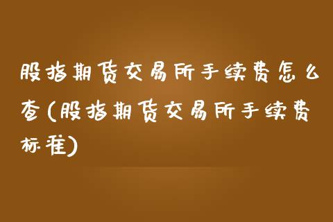 股指期货交易所手续费怎么查(股指期货交易所手续费标准)_https://www.liuyiidc.com_基金理财_第1张