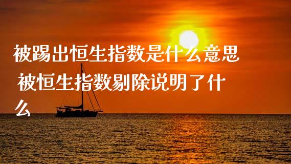 被踢出恒生指数是什么意思 被恒生指数剔除说明了什么_https://www.liuyiidc.com_理财百科_第1张