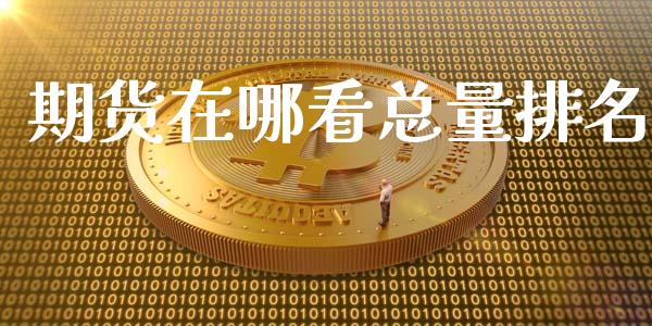 期货在哪看总量排名_https://www.liuyiidc.com_恒生指数_第1张