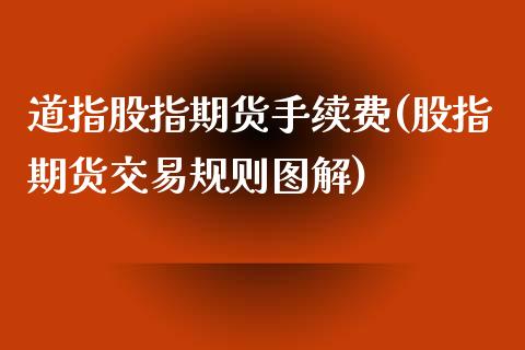 道指股指期货手续费(股指期货交易规则图解)_https://www.liuyiidc.com_期货交易所_第1张