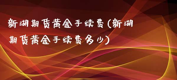 新湖期货黄金手续费(新湖期货黄金手续费多少)_https://www.liuyiidc.com_期货知识_第1张