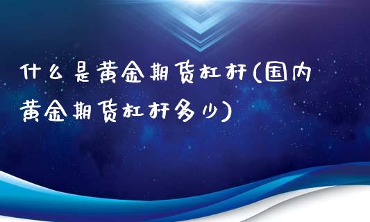 什么是黄金期货杠杆(国内黄金期货杠杆多少)_https://www.liuyiidc.com_期货理财_第1张