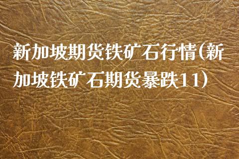 新加坡期货铁矿石行情(新加坡铁矿石期货暴跌11)_https://www.liuyiidc.com_期货直播_第1张