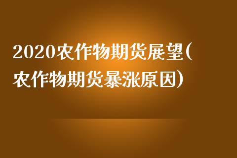 2020农作物期货展望(农作物期货暴涨原因)_https://www.liuyiidc.com_期货品种_第1张