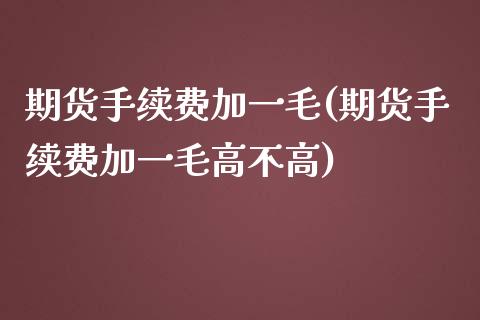 期货手续费加一毛(期货手续费加一毛高不高)_https://www.liuyiidc.com_国际期货_第1张