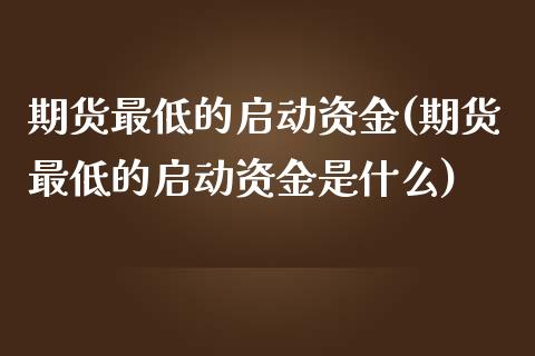 期货最低的启动资金(期货最低的启动资金是什么)_https://www.liuyiidc.com_恒生指数_第1张