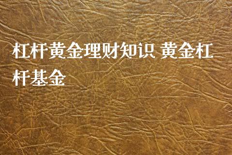 杠杆黄金理财知识 黄金杠杆基金_https://www.liuyiidc.com_保险理财_第1张