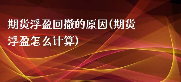 期货浮盈回撤的原因(期货浮盈怎么计算)_https://www.liuyiidc.com_理财品种_第1张