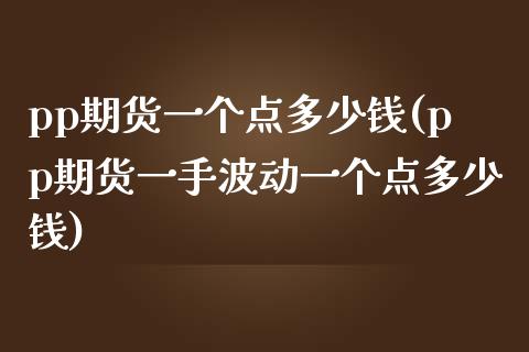 pp期货一个点多少钱(pp期货一手波动一个点多少钱)_https://www.liuyiidc.com_期货品种_第1张