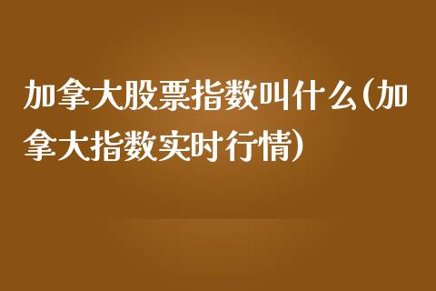 加拿大股票指数叫什么(加拿大指数实时行情)_https://www.liuyiidc.com_期货知识_第1张