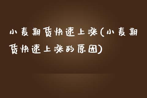 小麦期货快速上涨(小麦期货快速上涨的原因)_https://www.liuyiidc.com_国际期货_第1张