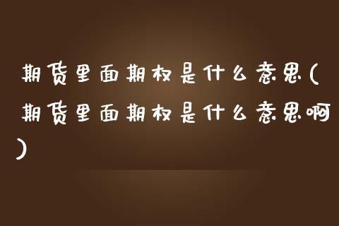 期货里面期权是什么意思(期货里面期权是什么意思啊)_https://www.liuyiidc.com_期货交易所_第1张