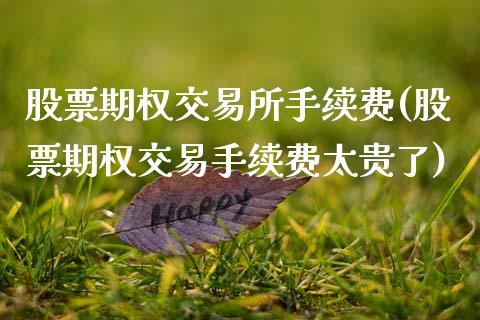 股票期权交易所手续费(股票期权交易手续费太贵了)_https://www.liuyiidc.com_理财品种_第1张