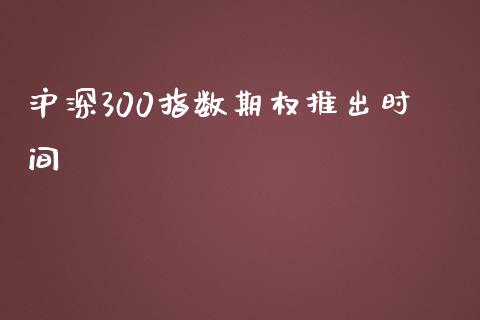 沪深300指数期权推出时间_https://www.liuyiidc.com_期货软件_第1张