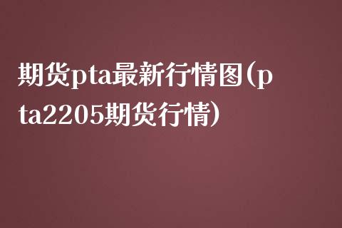 期货pta最新行情图(pta2205期货行情)_https://www.liuyiidc.com_期货知识_第1张